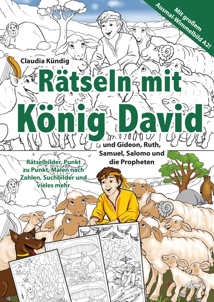 Buch Rätseln mit König David