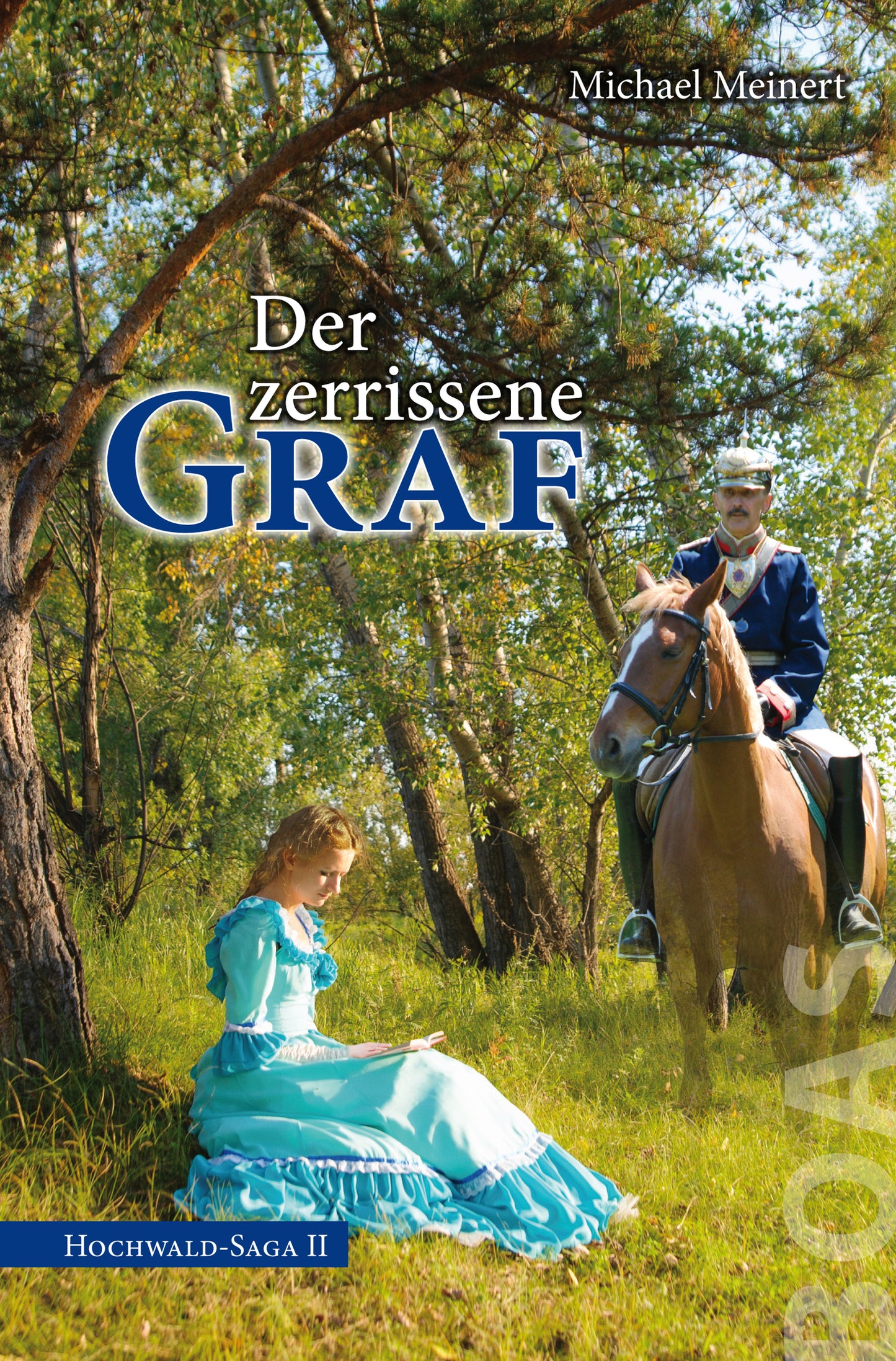 Buch Der zerrissene Graf