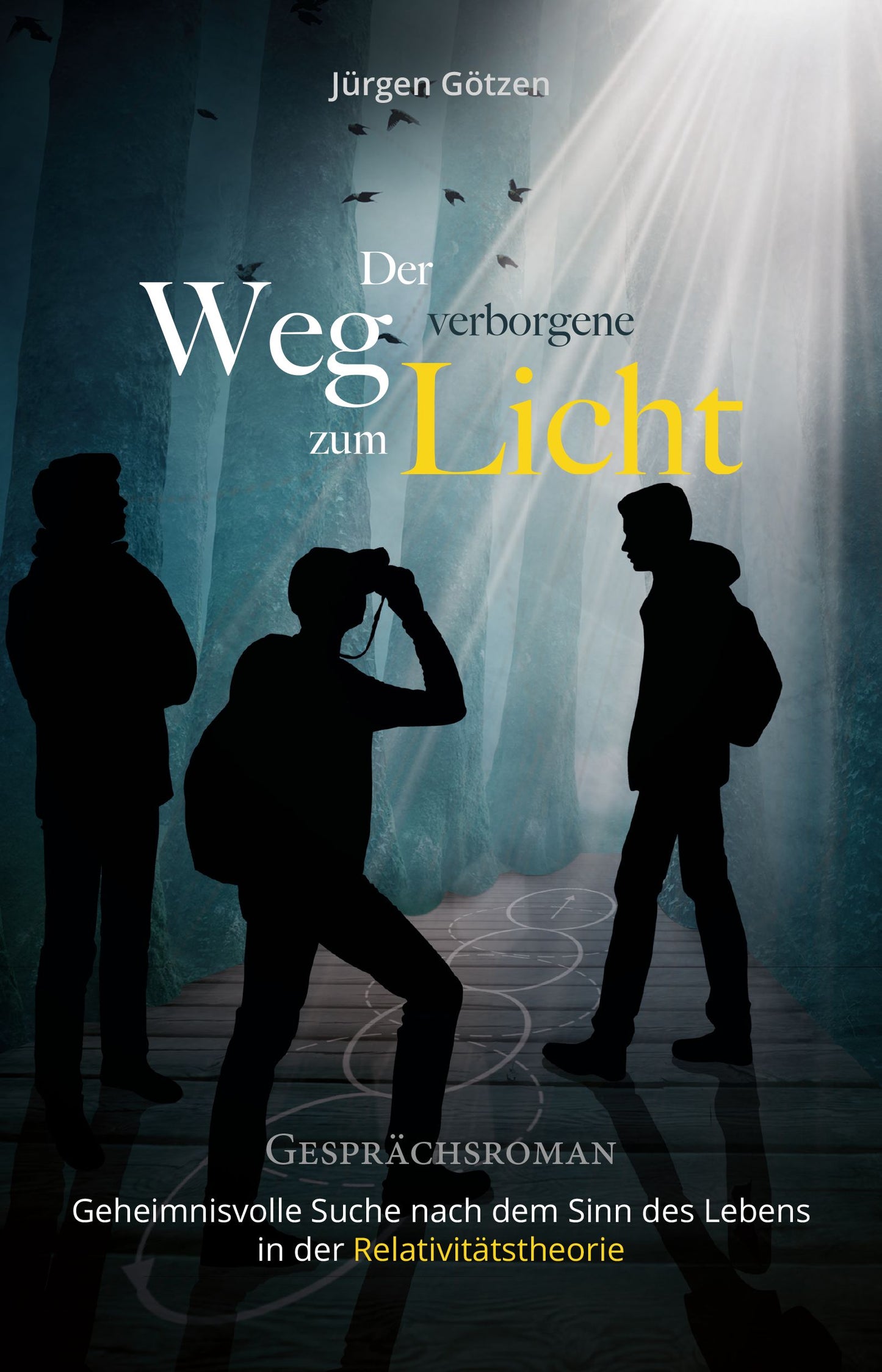 Buch Der verborgene Weg zum Licht