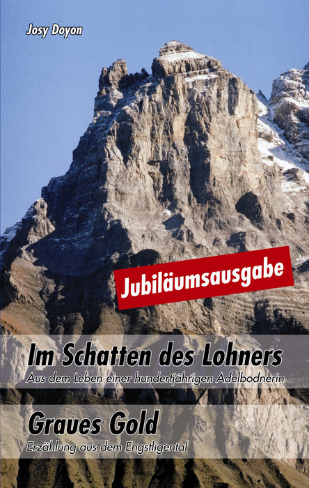 Buch Im Schatten des Lohners - Graues Gold