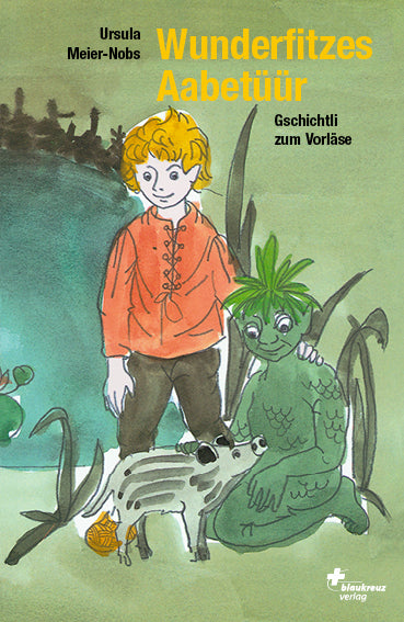 Buch Wunderfitzes Aabetüür
