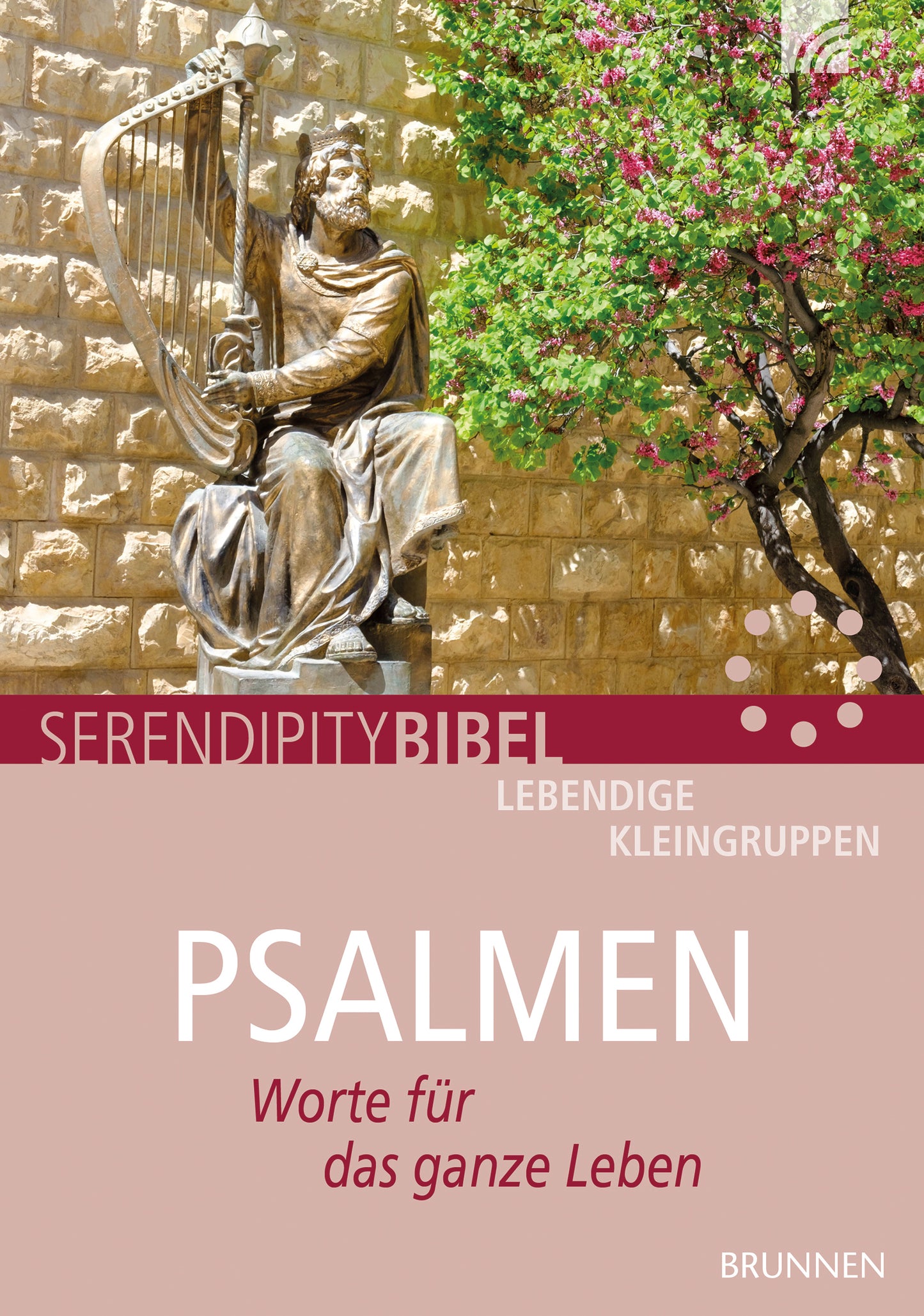 Buch Psalmen