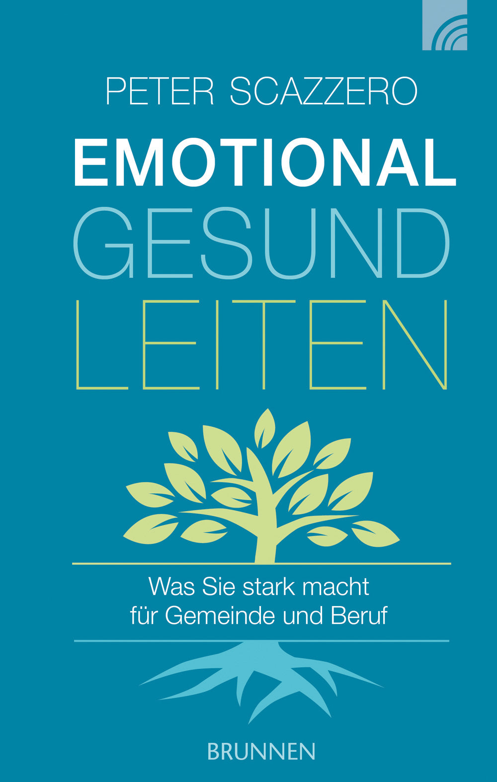 Buch Emotional gesund leiten