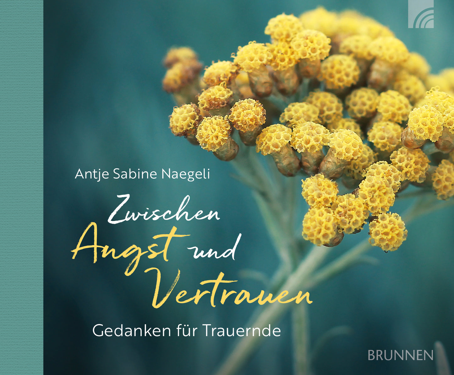 Buch Zwischen Angst und Vertrauen