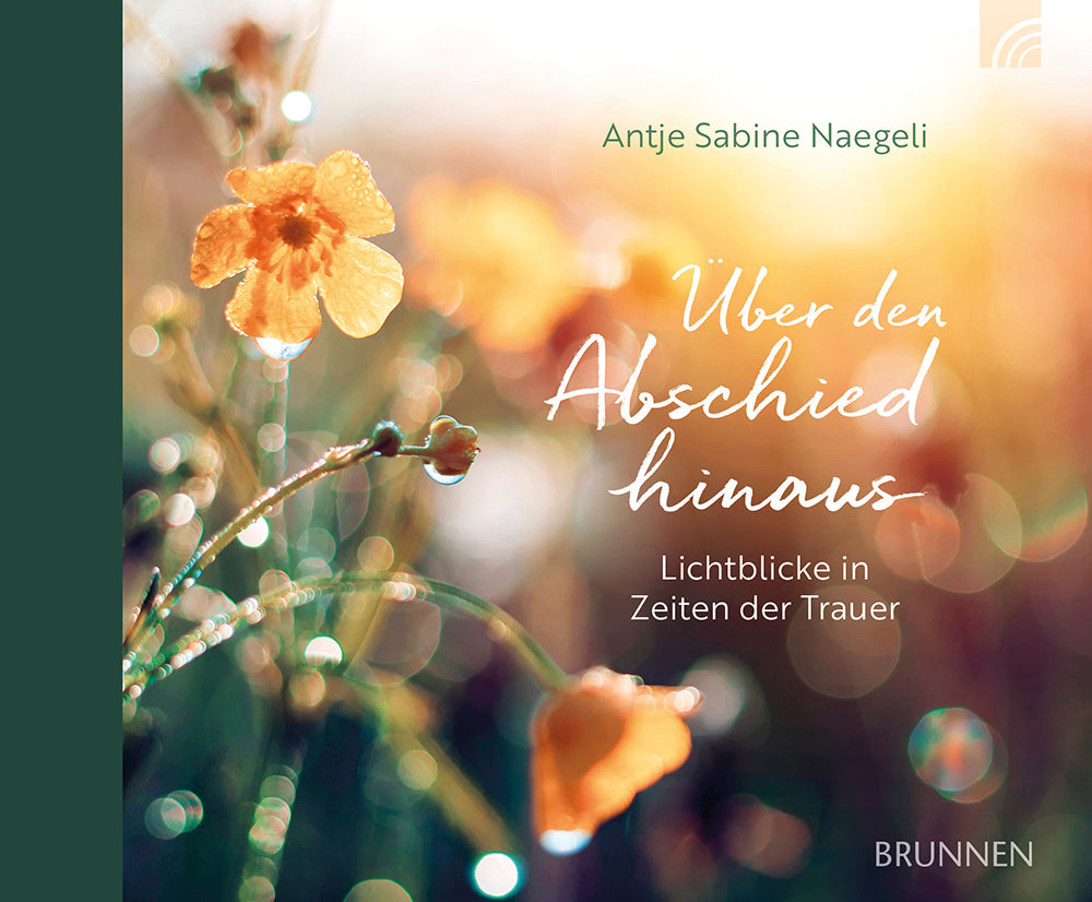 Buch Über den Abschied hinaus