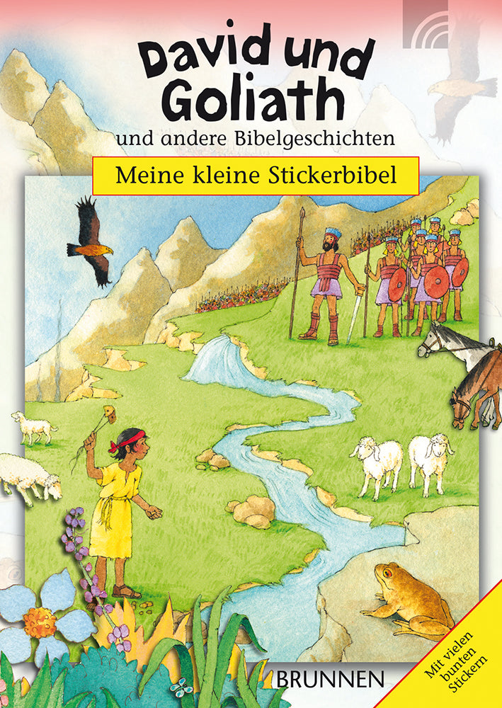 Buch David und Goliath