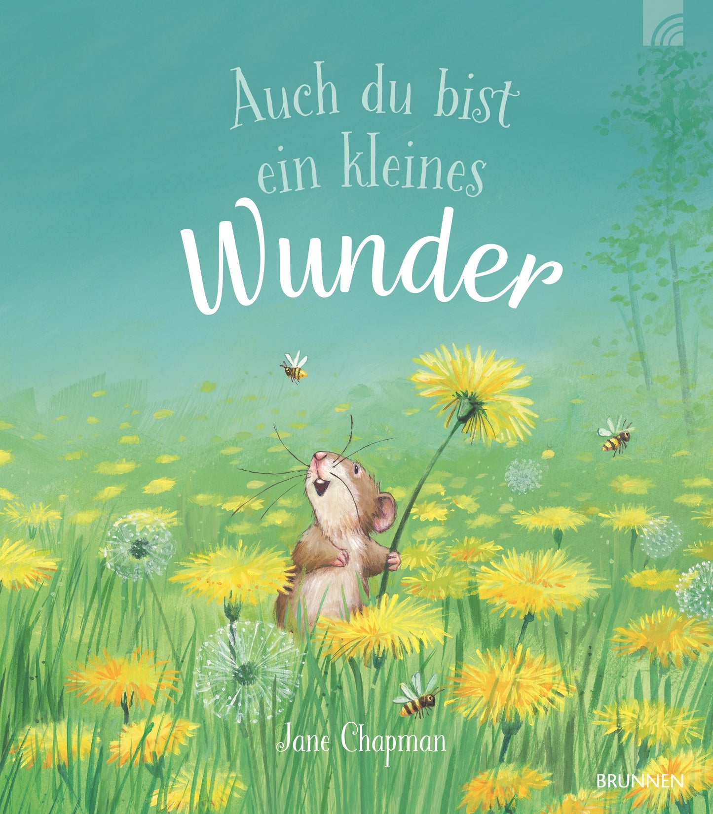 Buch Auch du bist ein kleines Wunder