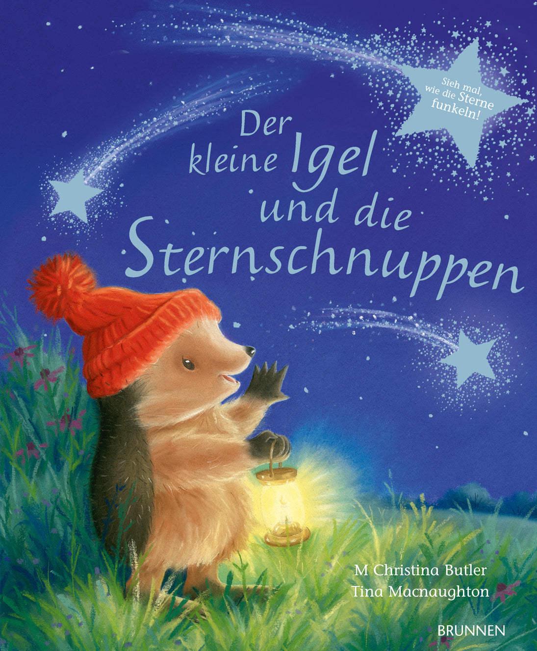 Buch Der kleine Igel und die Sternschnuppen