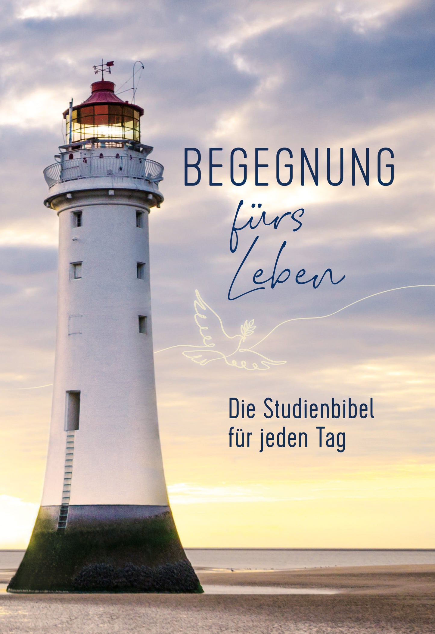 Buch Begegnung fürs Leben. Motiv Leuchtturm