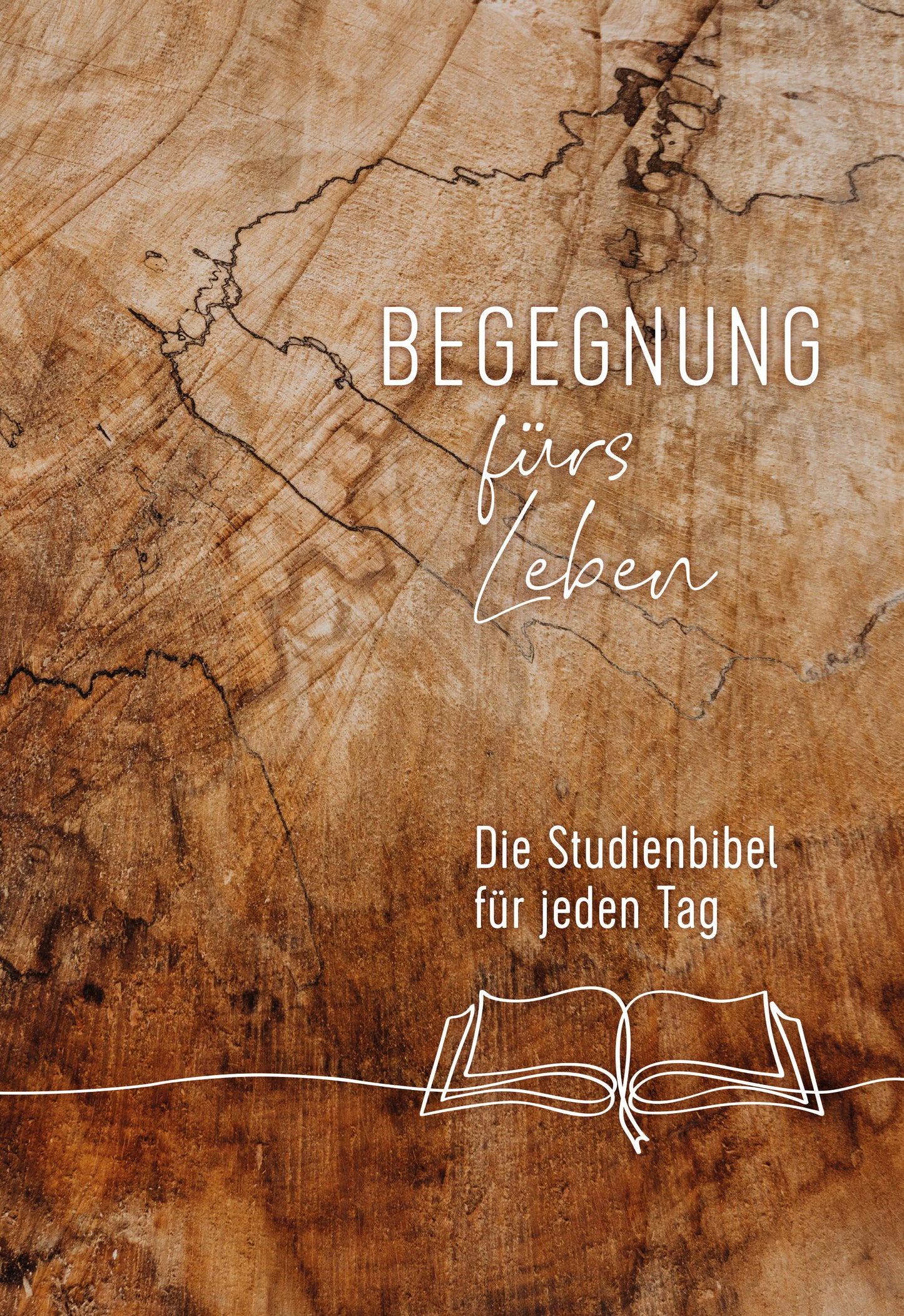 Buch Begegnung fürs Leben. Motiv Buch