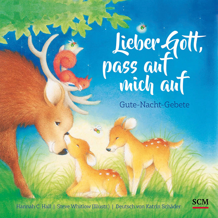 Buch Lieber Gott. pass auf mich auf