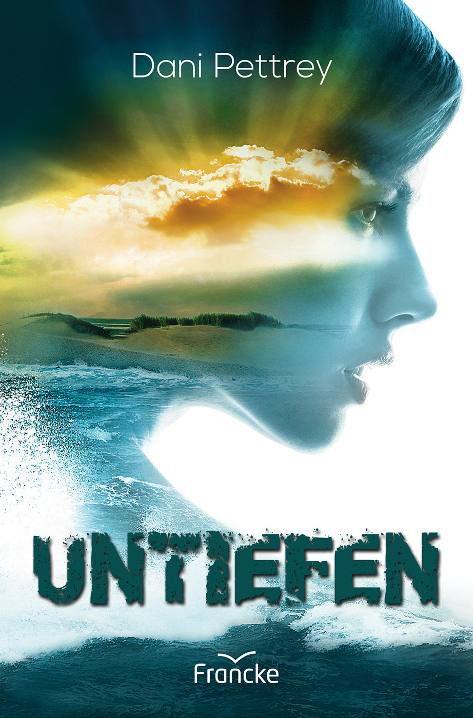 Buch Untiefen