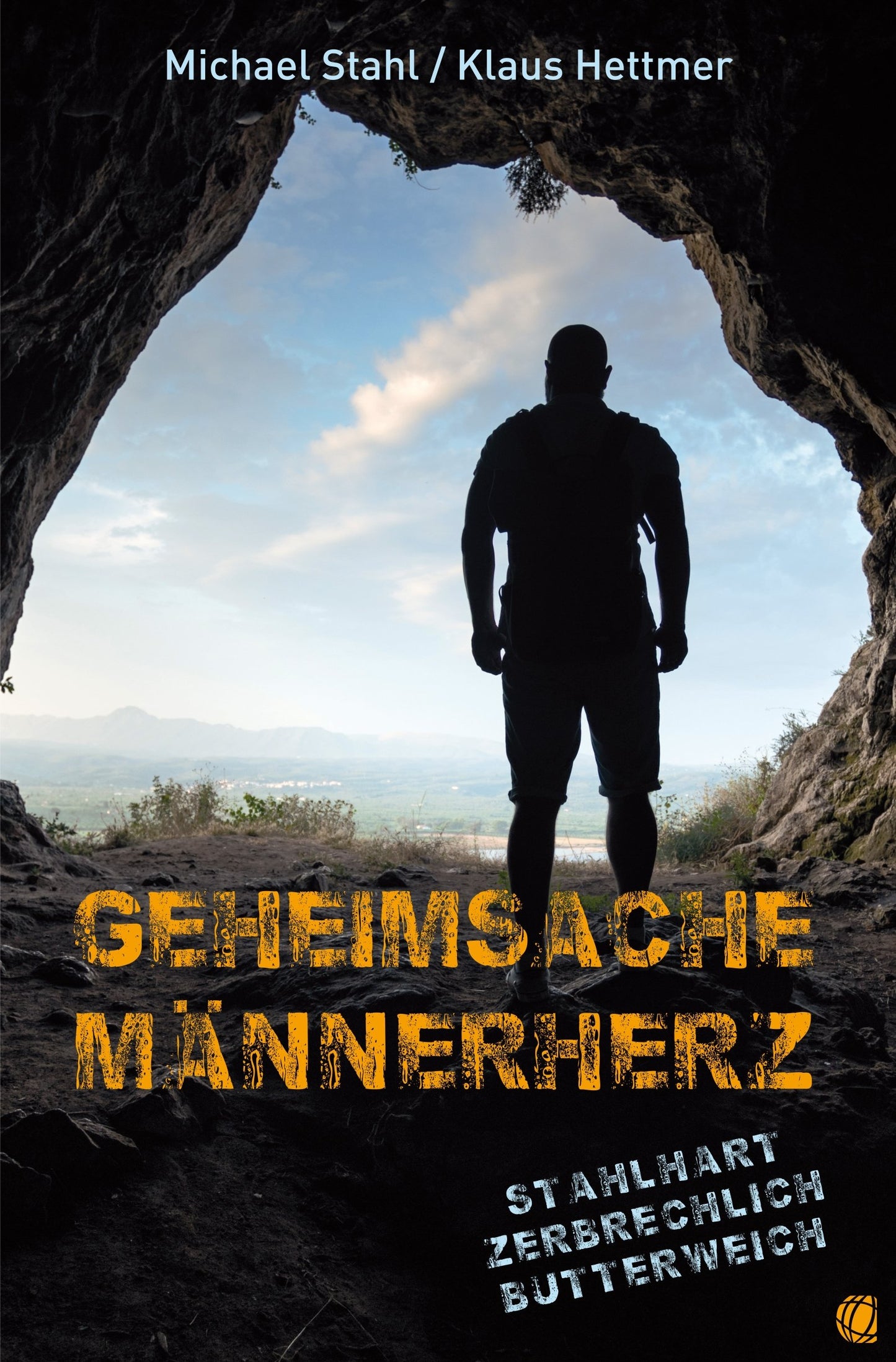 Buch Geheimsache Männerherz