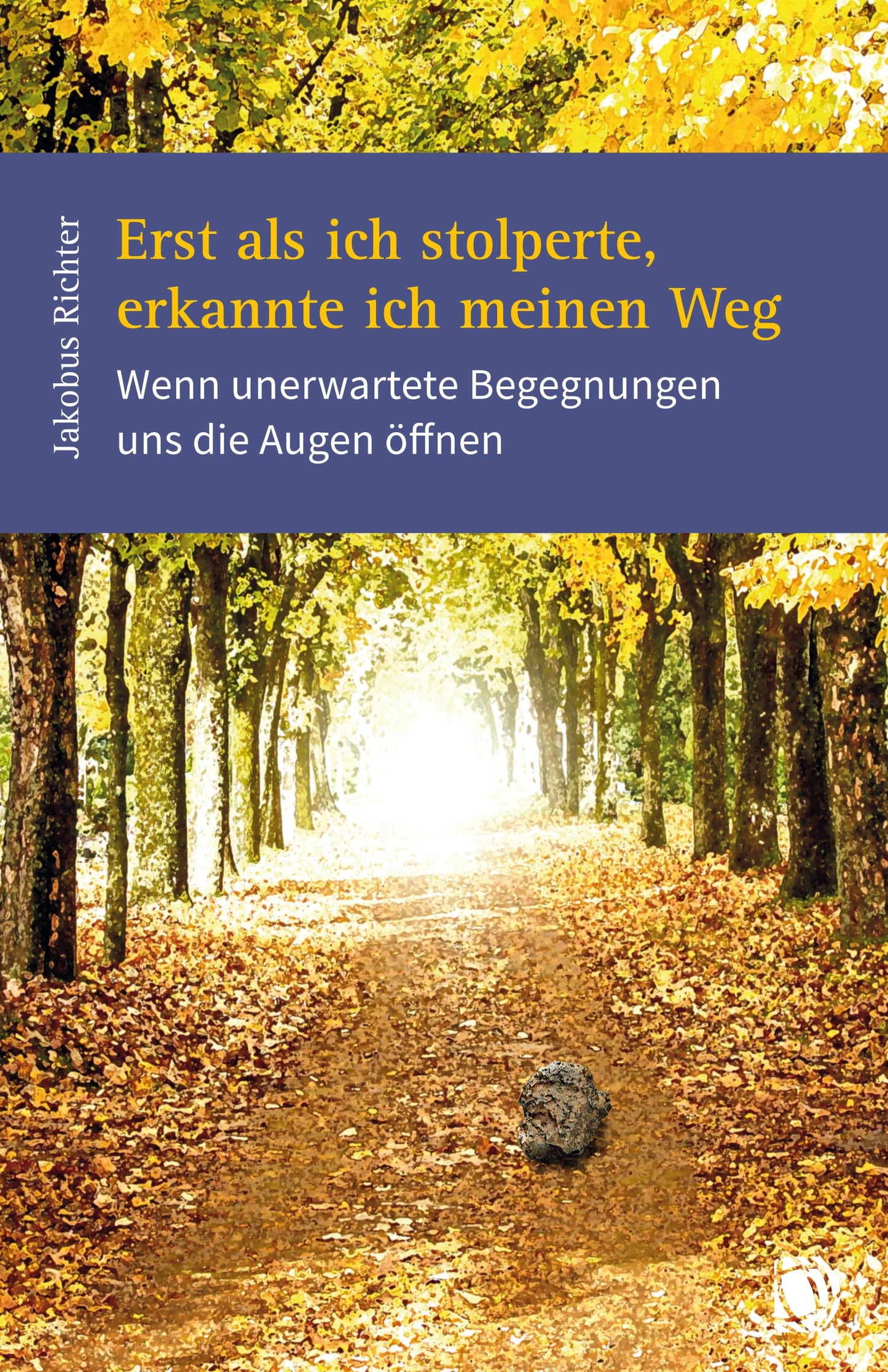 Buch Erst als ich stolperte. erkannte ich meinen Weg