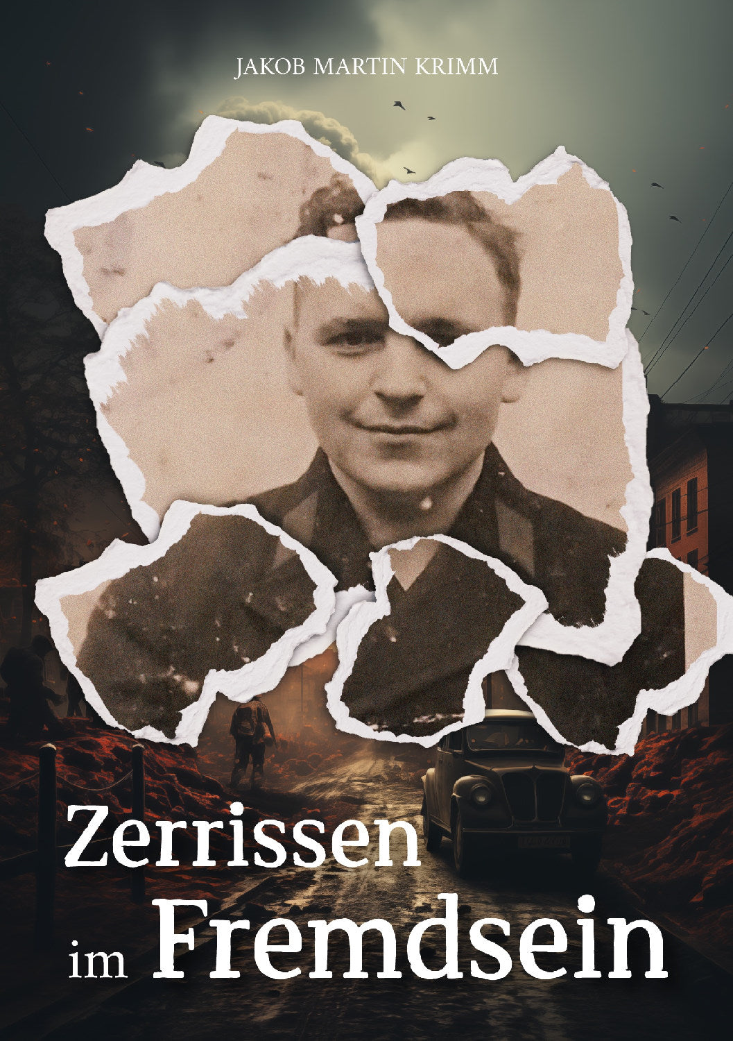 Buch Zerrissen im Fremdsein