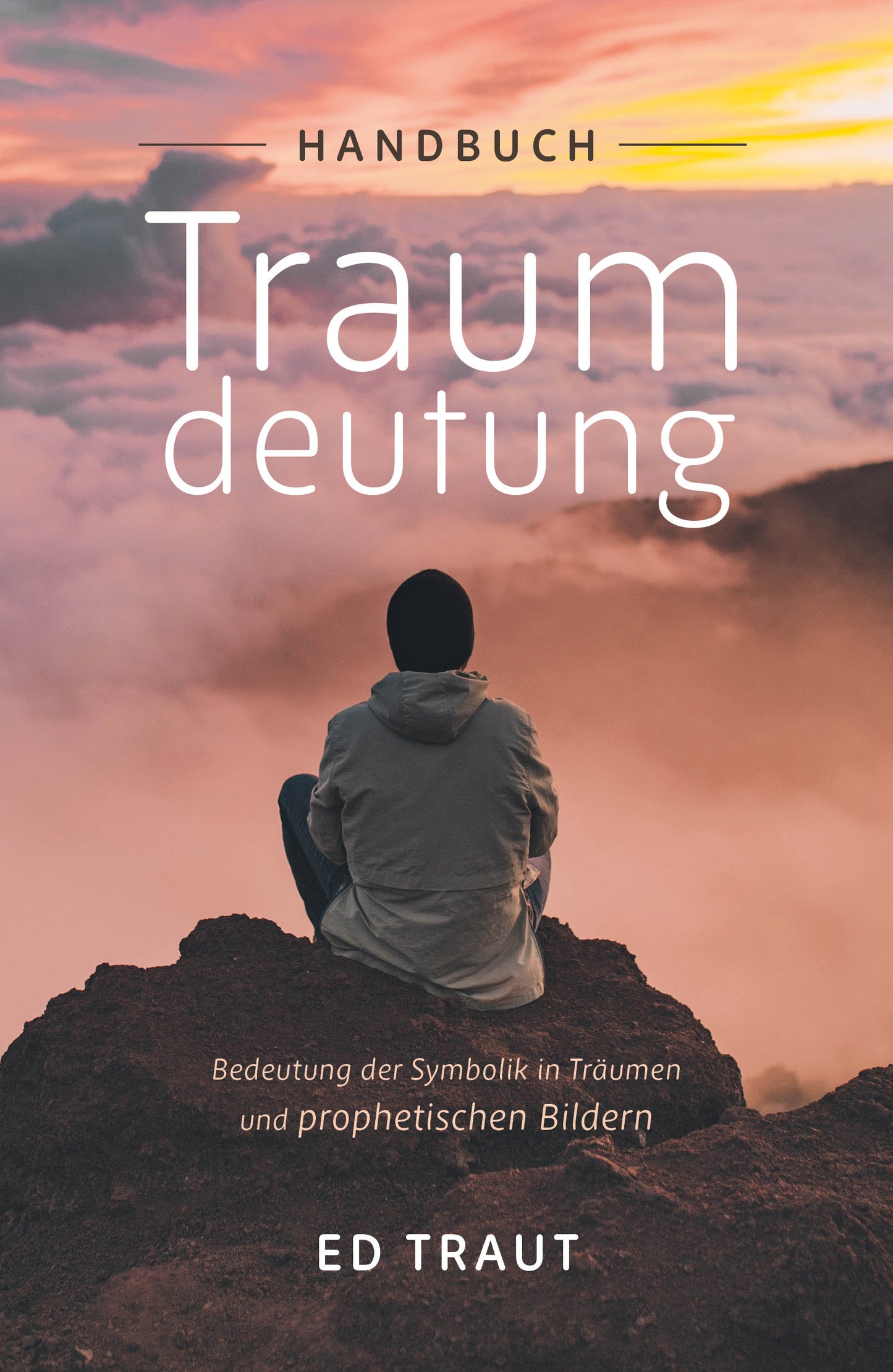 Buch Handbuch Traumdeutung