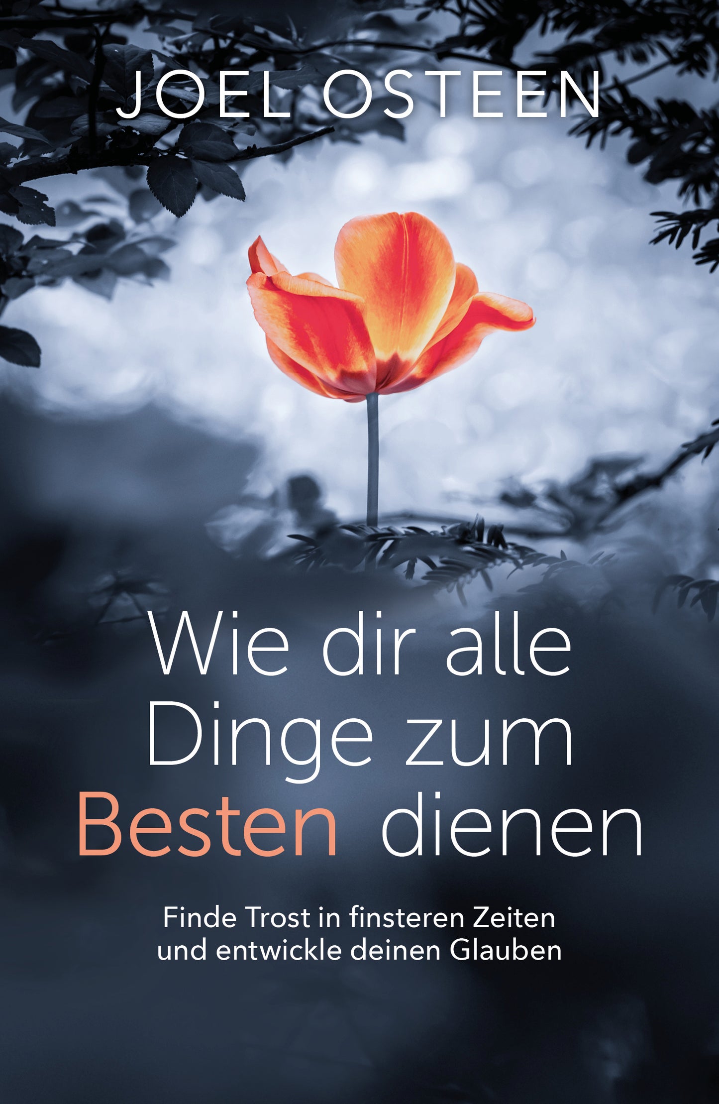 Buch Wie dir alle Dinge zum Besten dienen