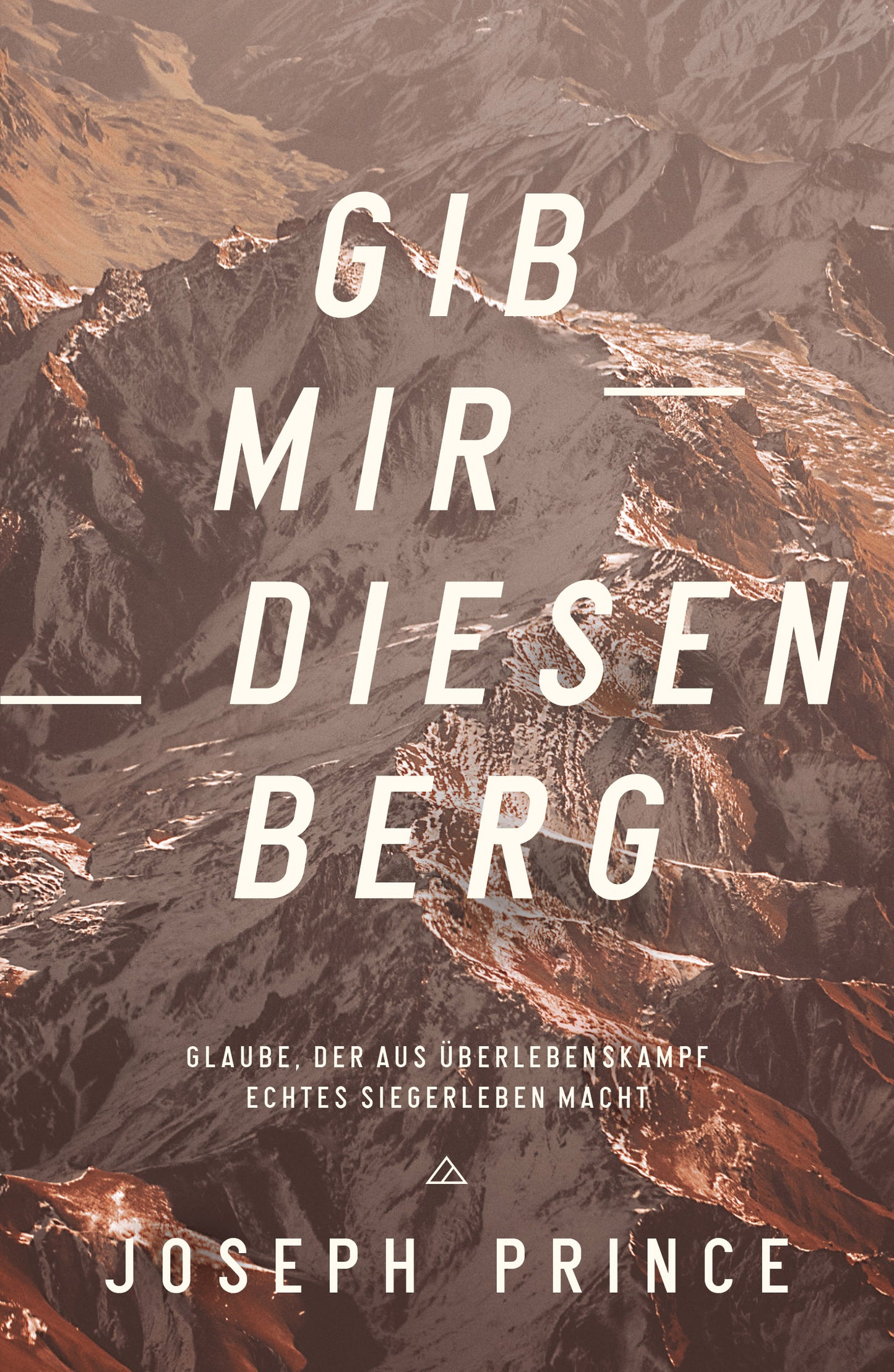 Buch Gib mir diesen Berg