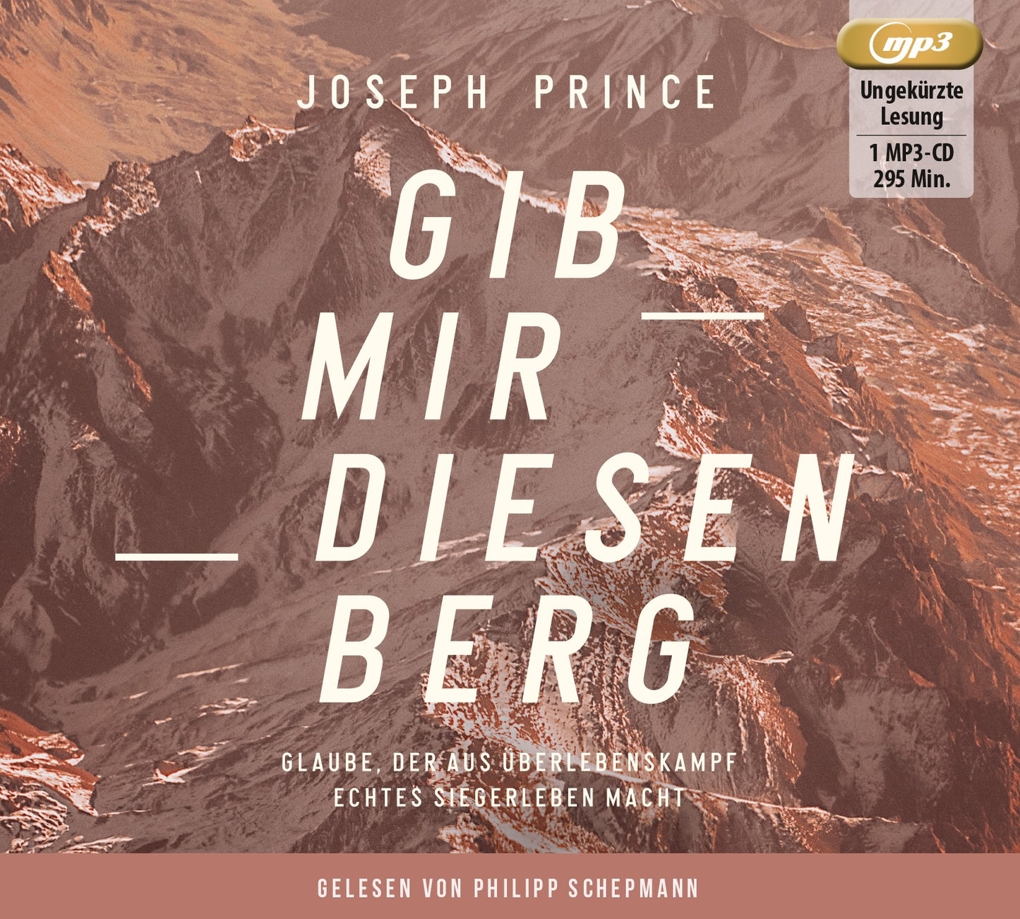 Buch Gib mir diesen Berg (MP3-CD)