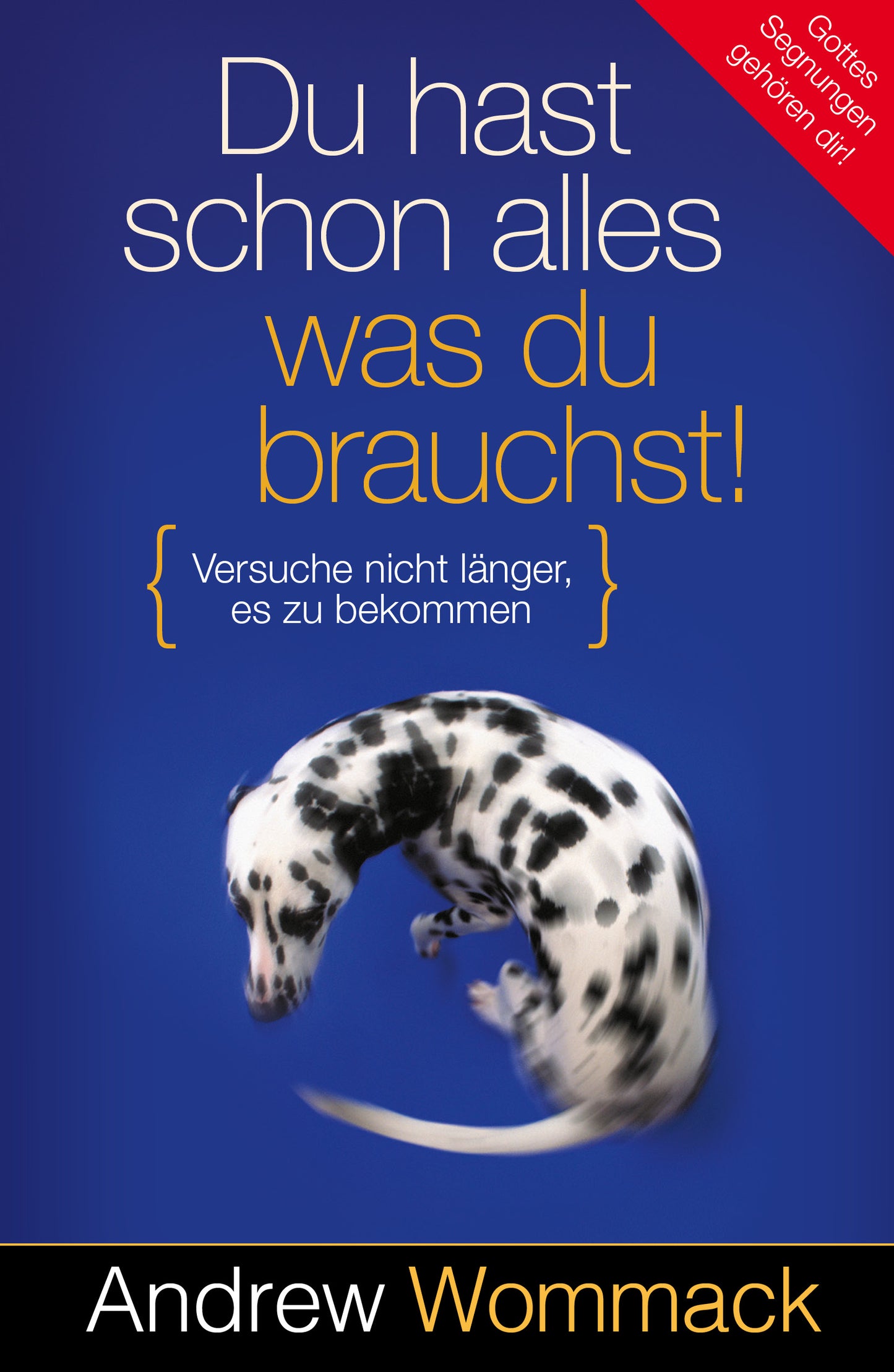 Buch Du hast schon alles. was du brauchst