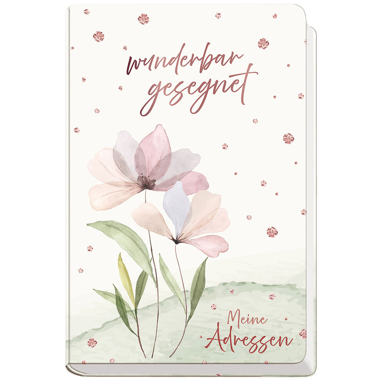 Buch Wunderbar gesegnet - Meine Adressen