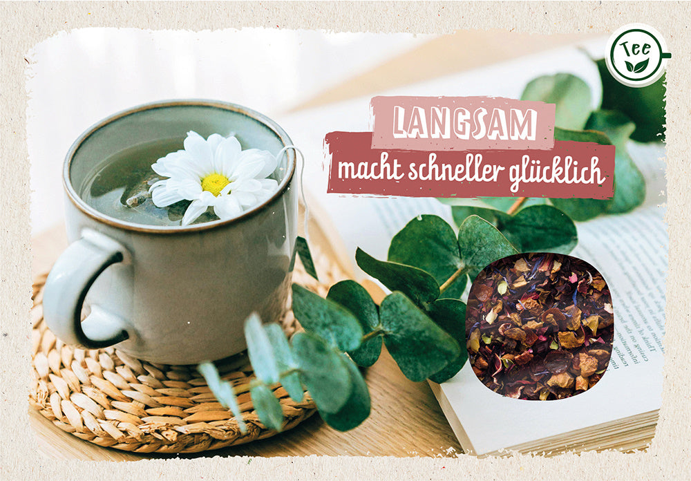 Nonbook Langsam macht schneller glücklich