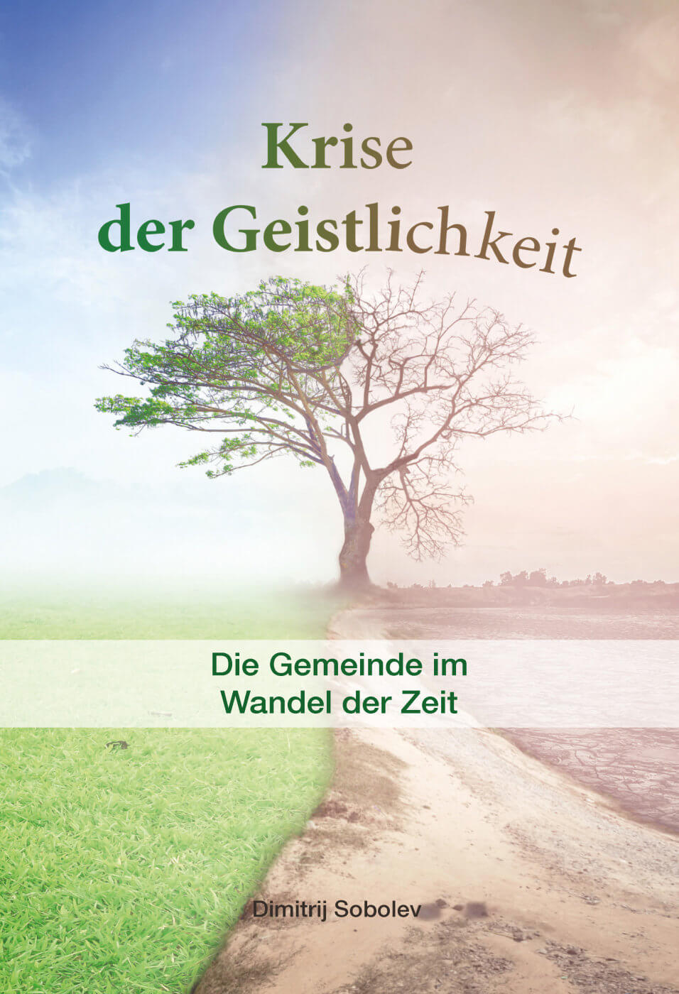 Buch Krise der Geistlichkeit