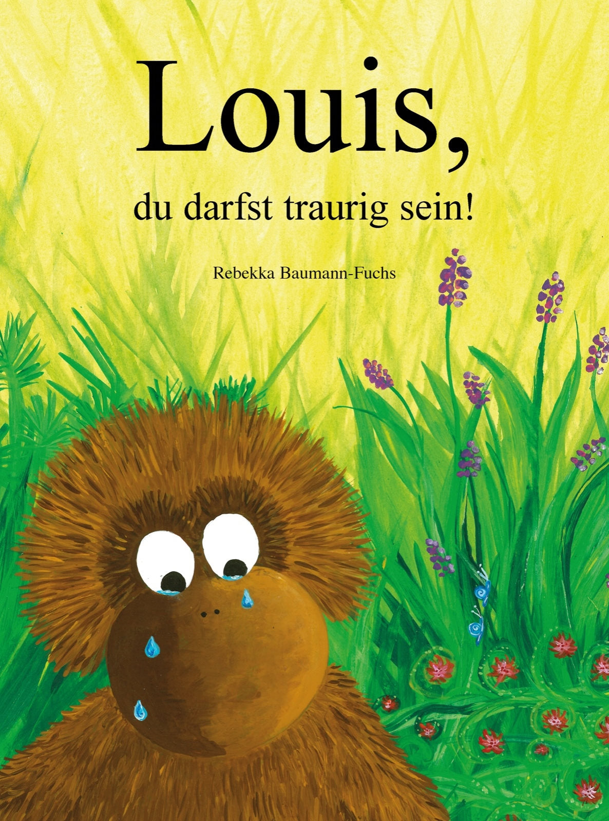 Buch Louis. du darfst traurig sein!