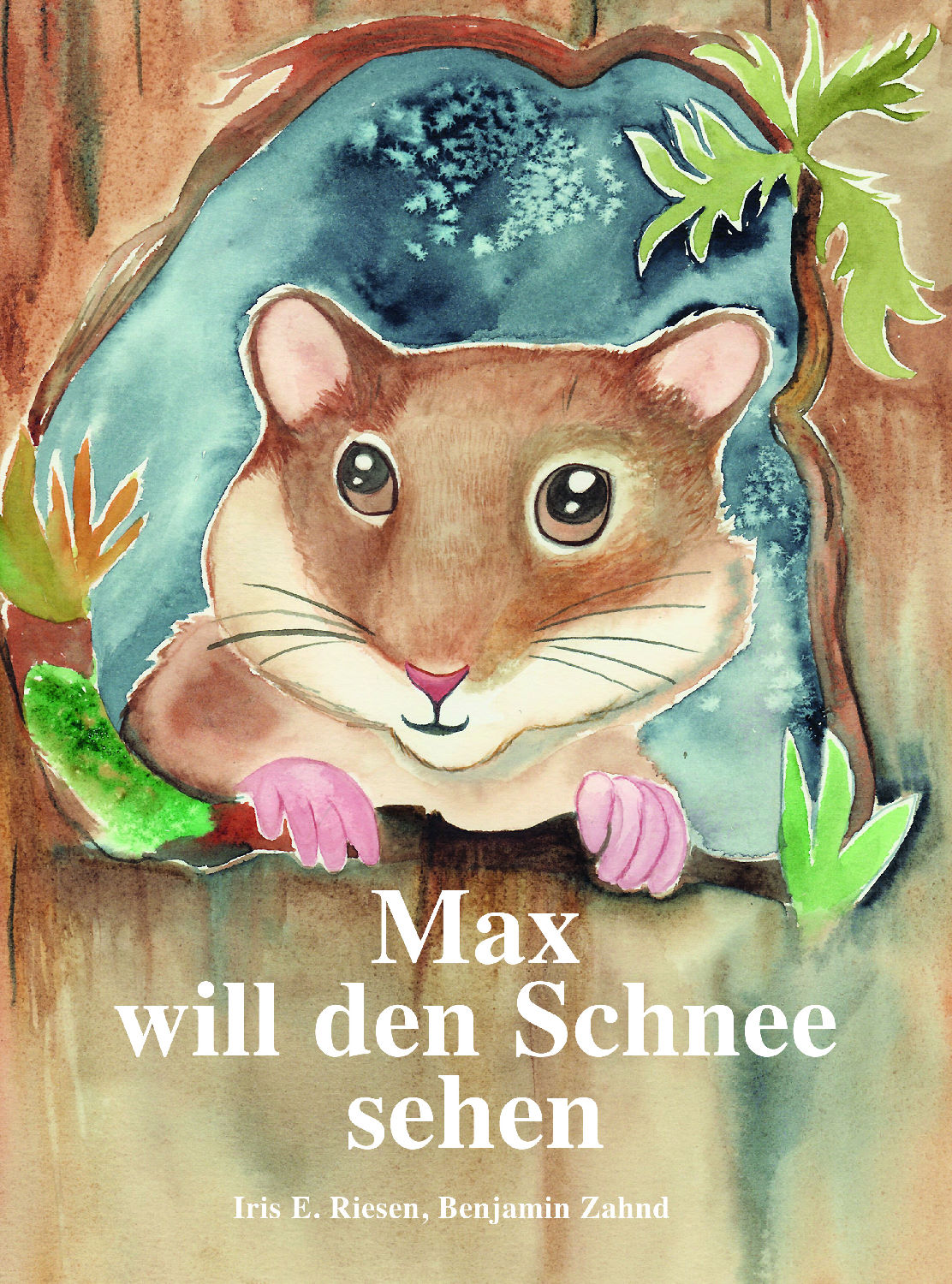 Buch Max will den Schnee sehen