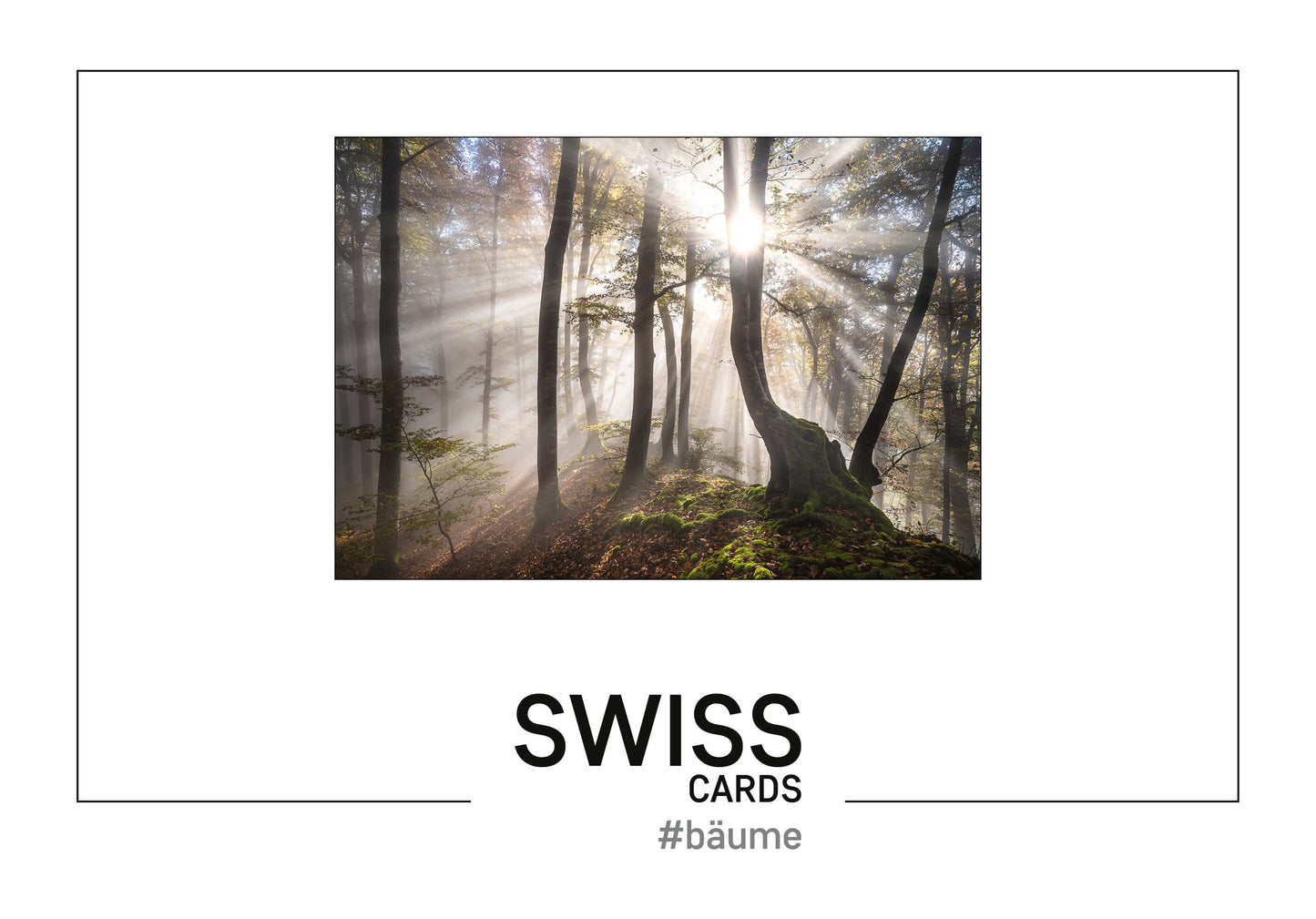 Buch Swiss Cards #bäume (Kartenbox)