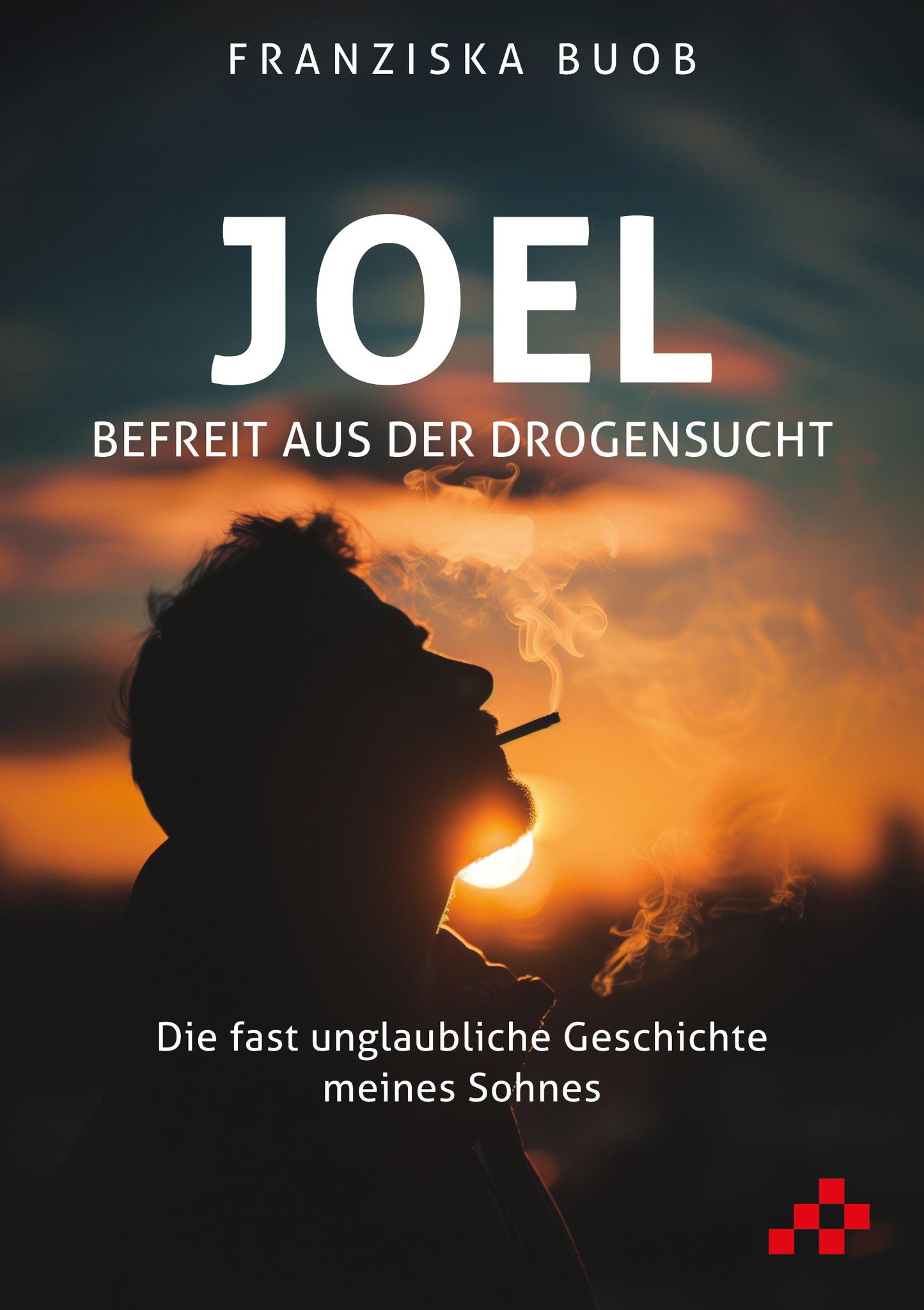 Buch Joel - Befreit aus der Drogensucht