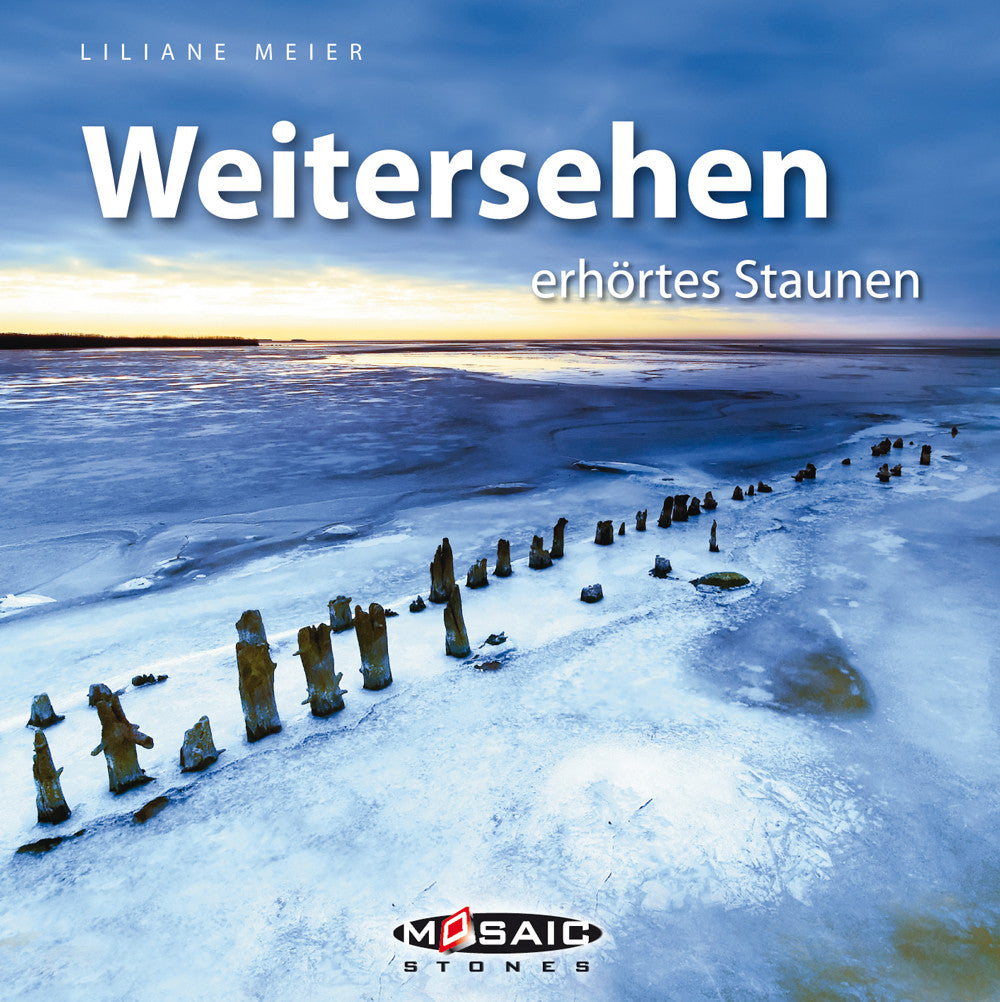 Buch Weitersehen
