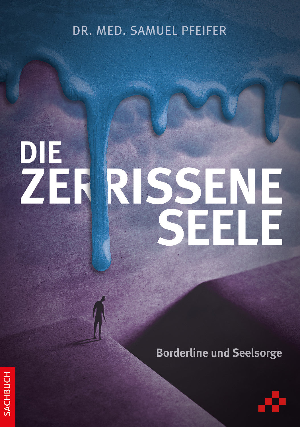 Buch Die zerissene Seele