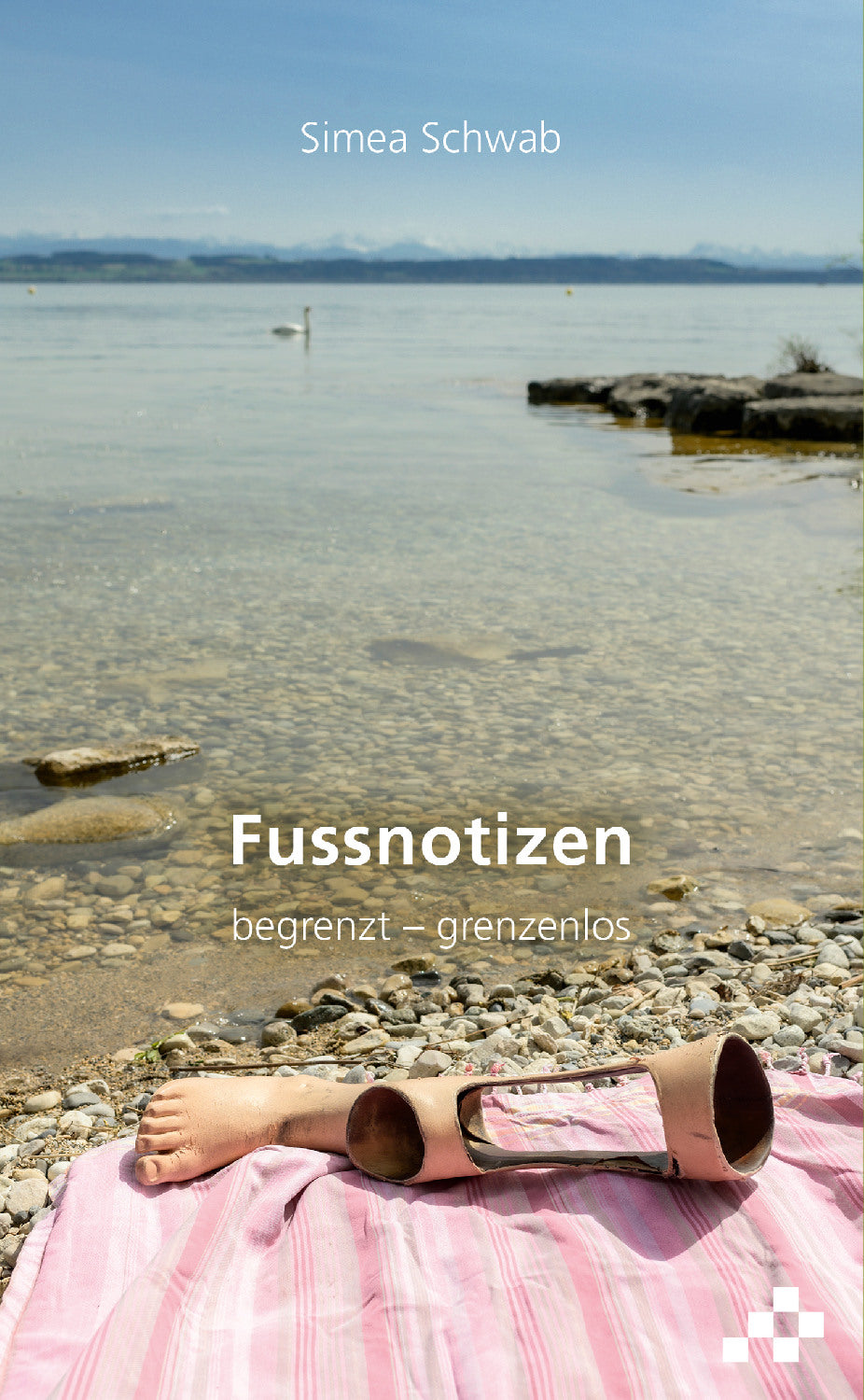 Buch Fussnotizen