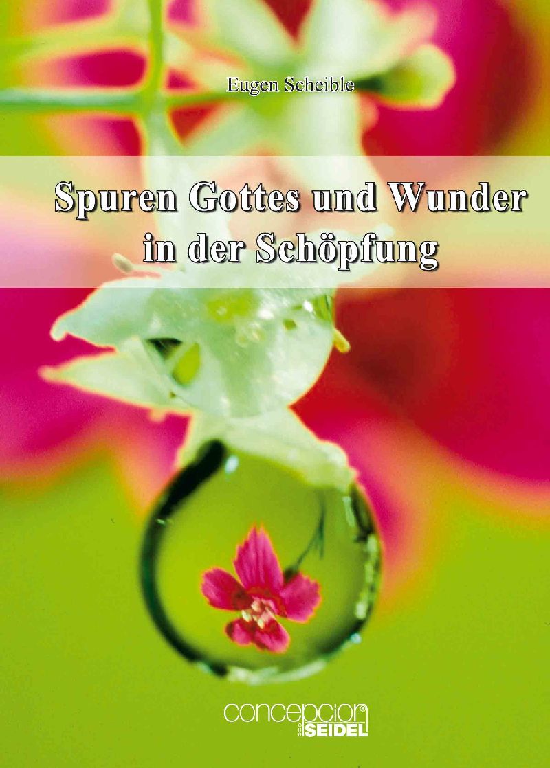 Buch Spuren Gottes und Wunder in der Schöpfung