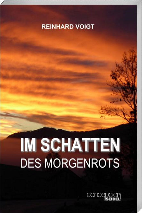 Buch Im Schatten des Morgenrots