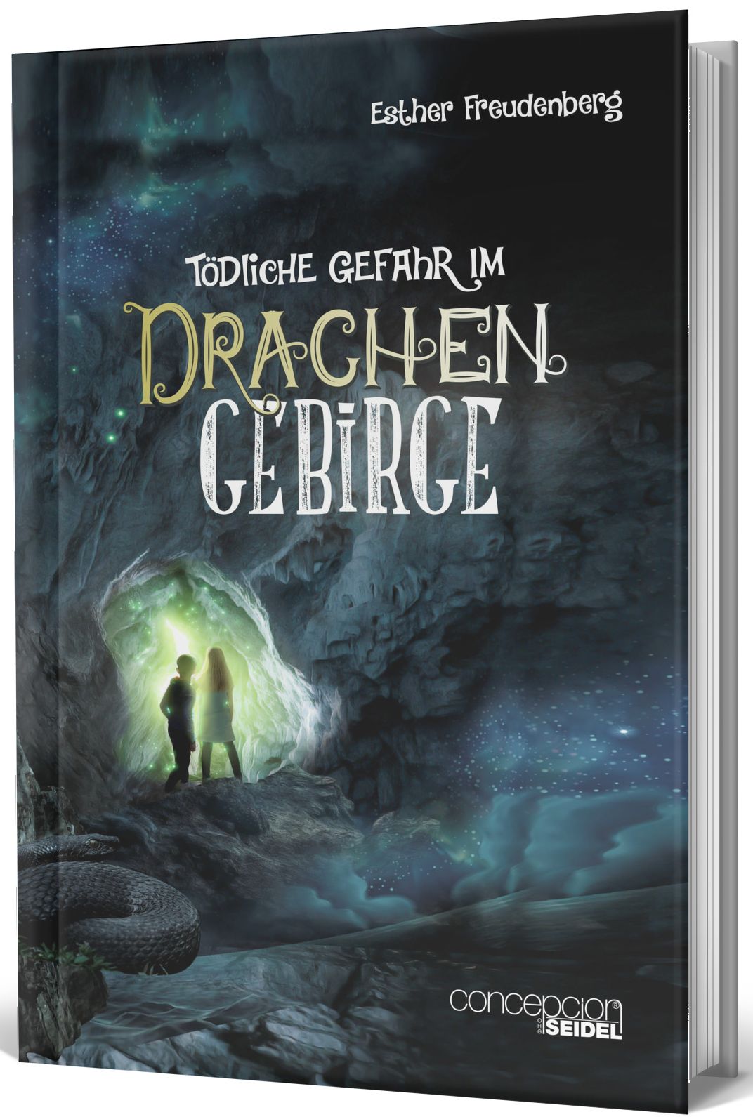 Buch Tödliche Gefahr im Drachengebirge