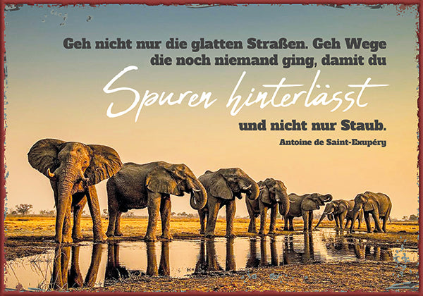 Sonstiges Metallschild Geh nicht nur die glatten Straßen. Geh Wege. d