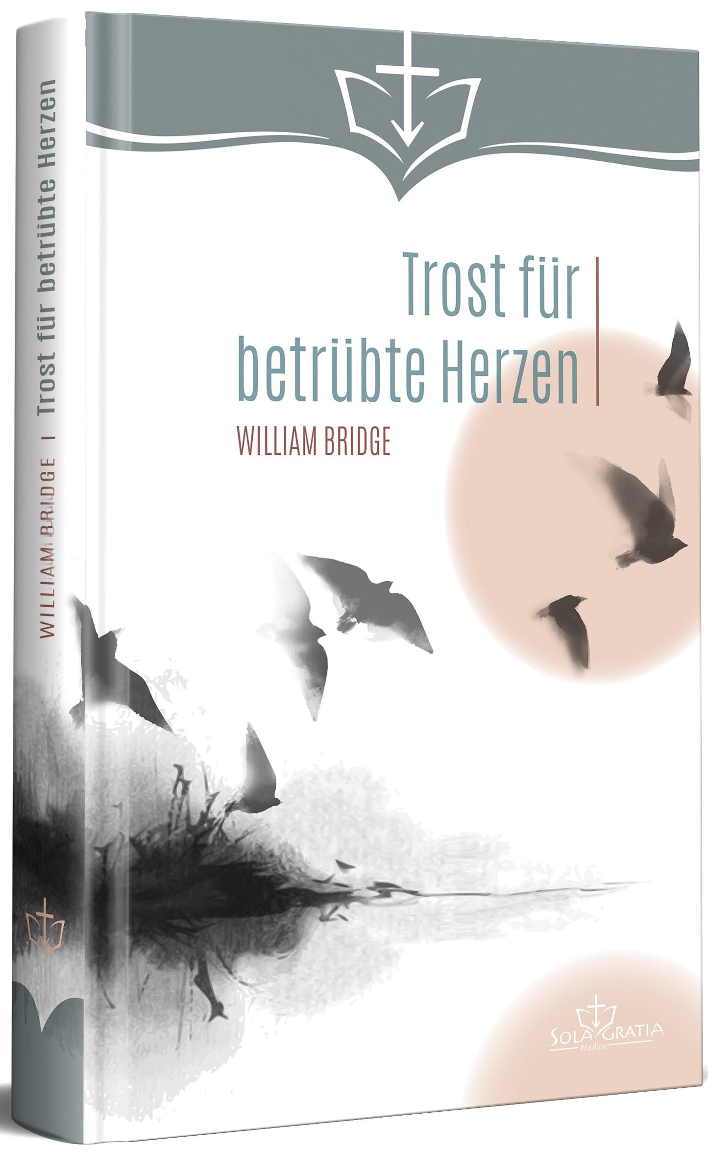 Buch Trost für betrübte Herzen