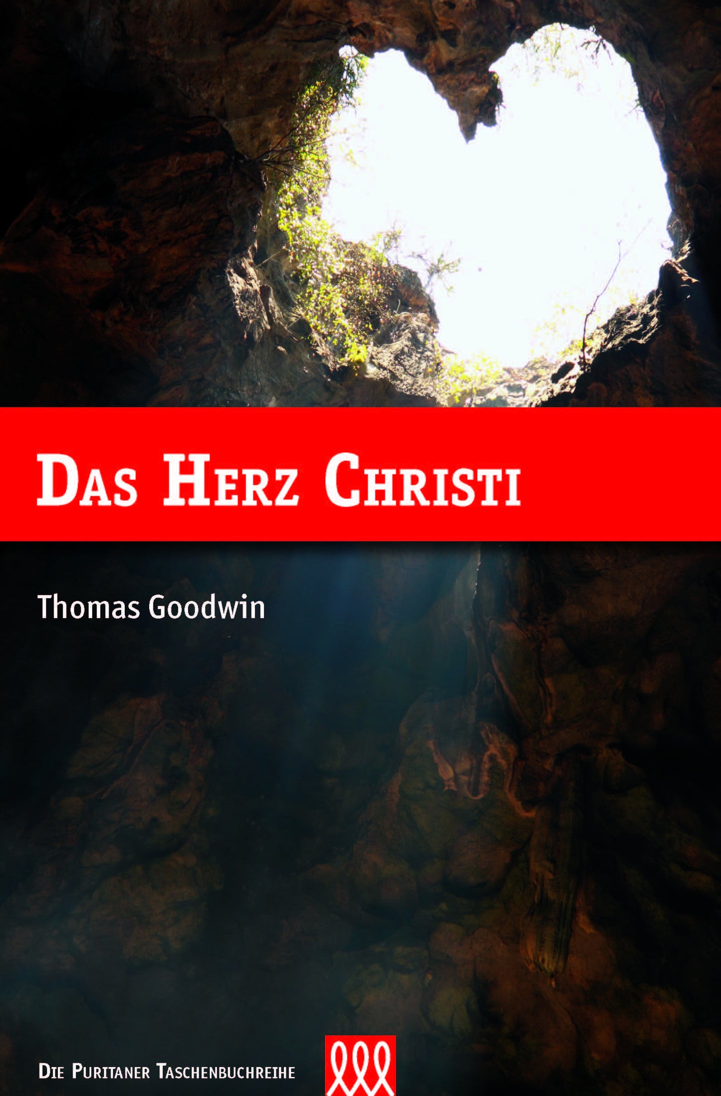 Buch Das Herz Christi