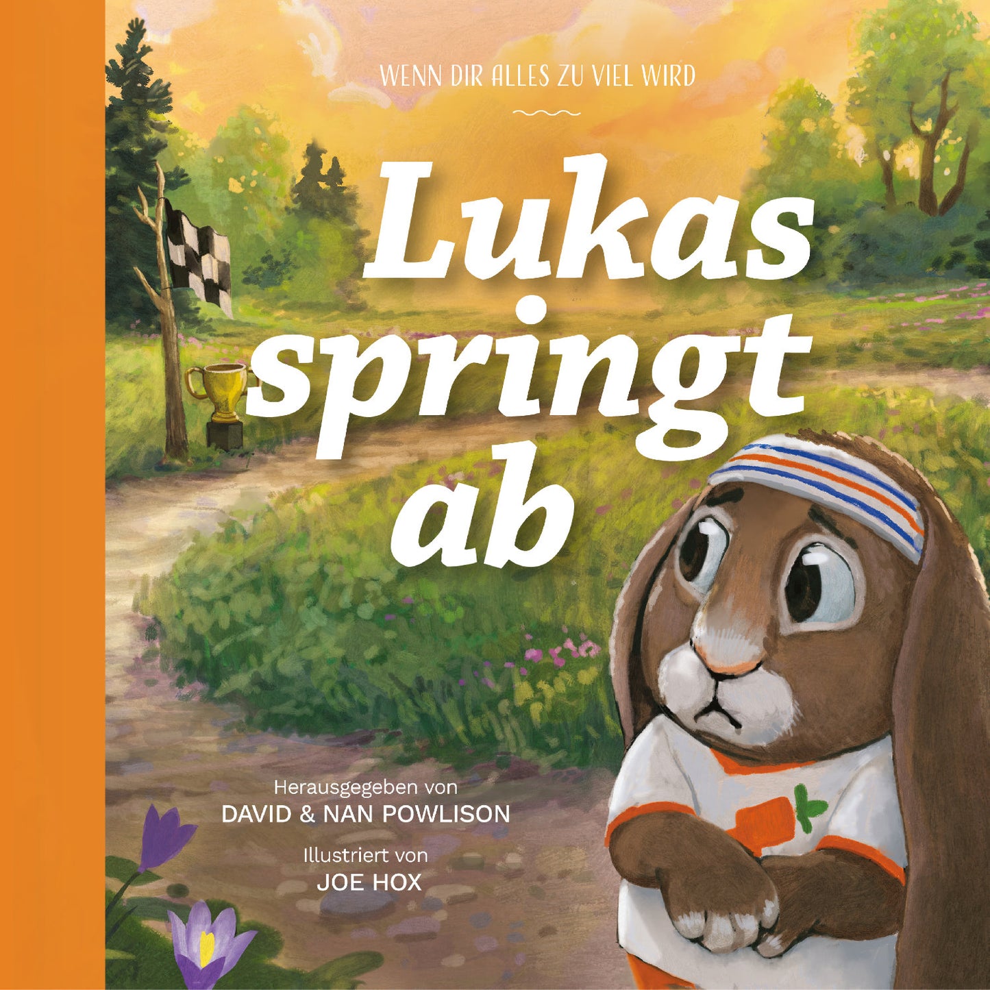 Buch Lukas springt ab