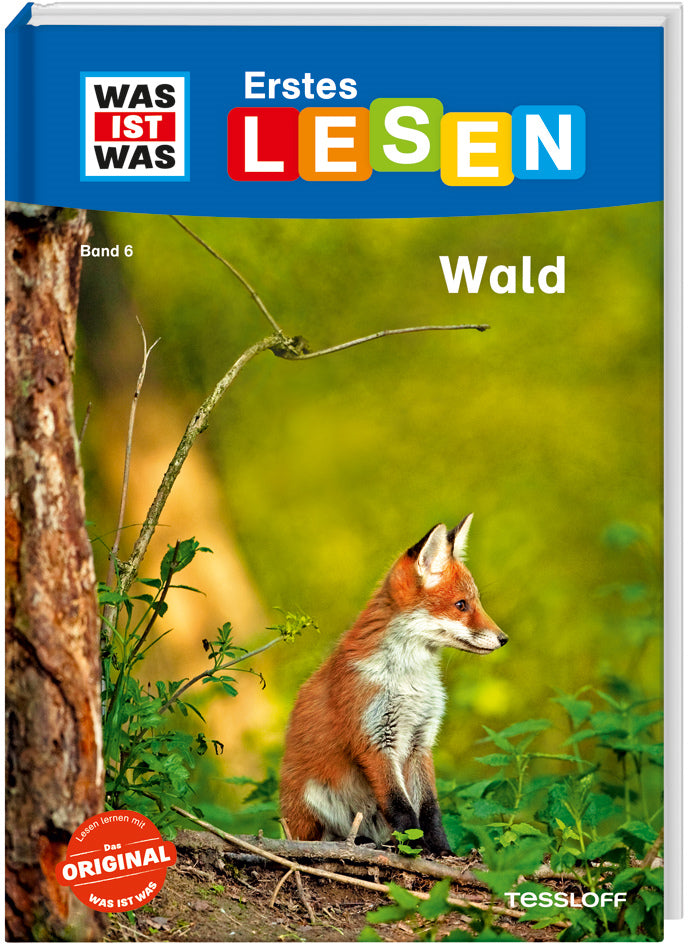 Buch Wald Erstes Lesen Band 6