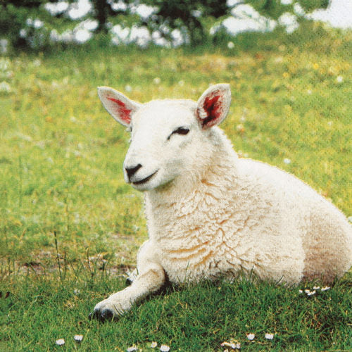 Sonstiges Servietten Schaf 20 Ex.