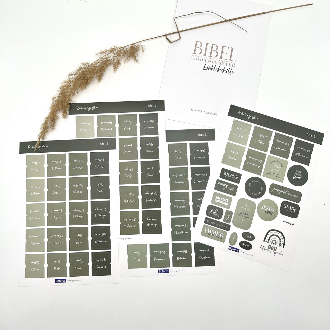 Sonstiges Bibel-Griffregister Salbeigrün