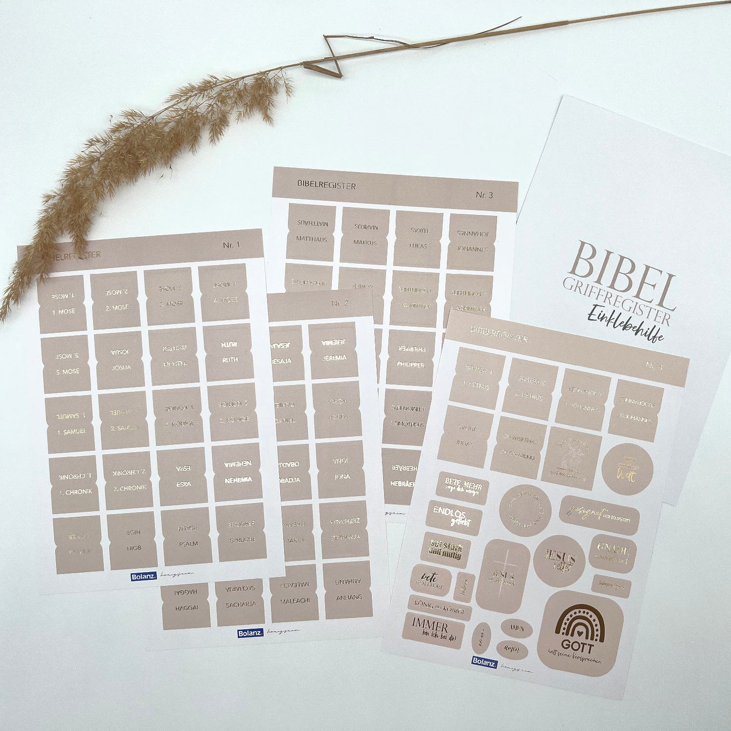 Sonstiges Bibel-Griffregister Cremefarben mit Goldveredelung