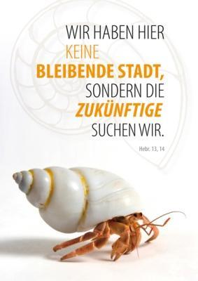 Sonstiges Postkarte Wir haben hier keine 10 Ex.
