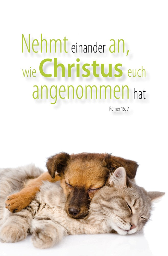 Karte Postkarte Nehmt einander an 10 Ex.