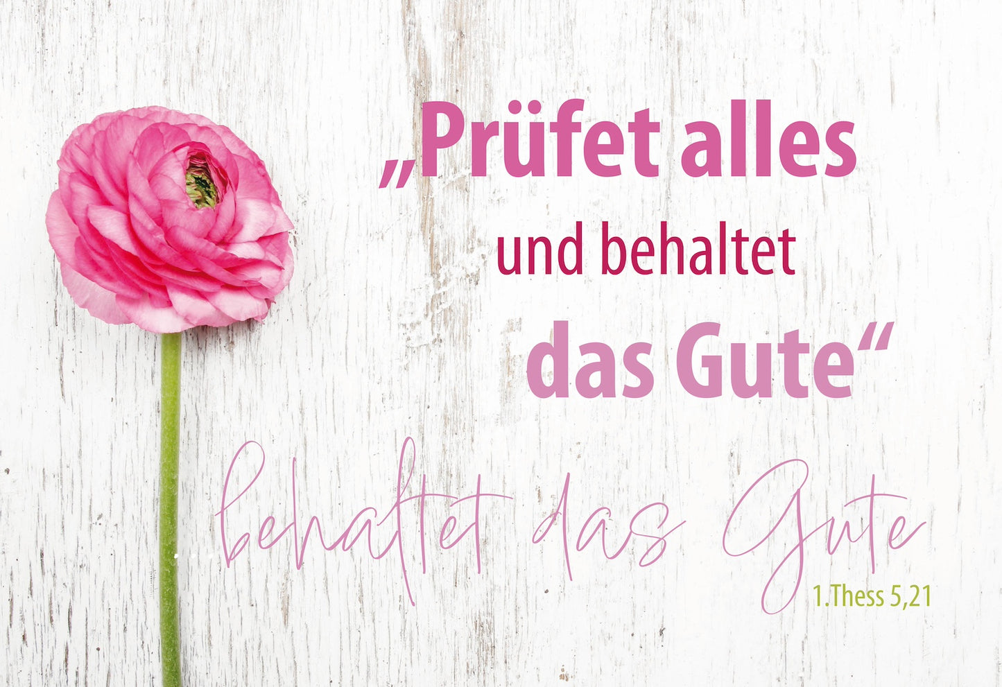 Karte Postkarte 10 Ex. Prüfet alles und behaltet das Gute