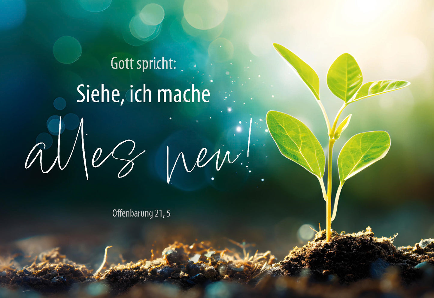 Sonstiges Postkarte 10 Ex. Gott spricht: Siehe. ich mache alles neu.