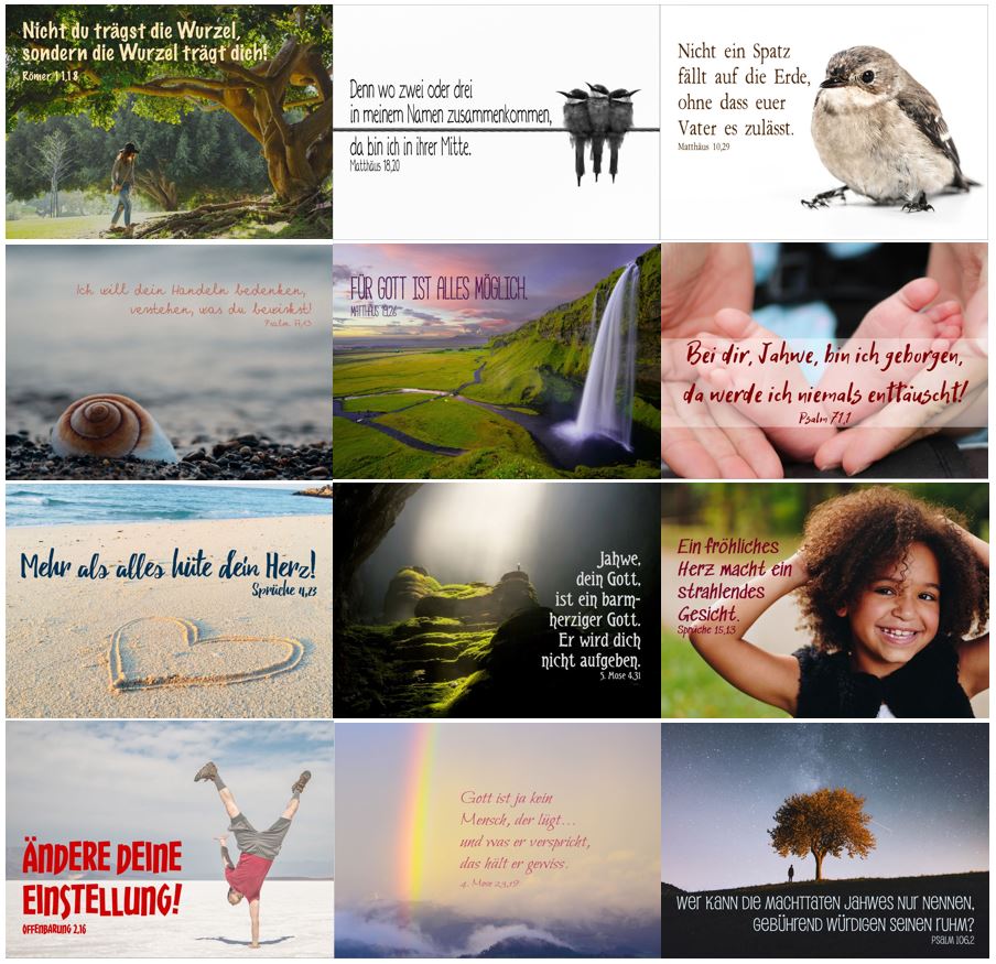 Sonstiges Postkarten-Set mit 12 Postkarten